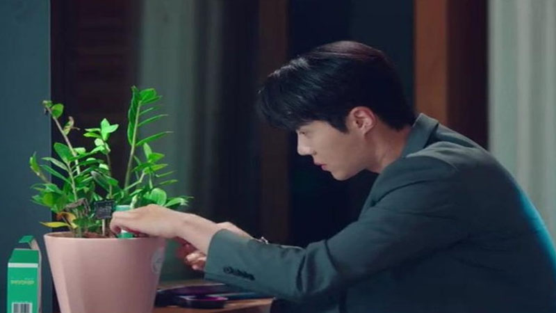 7 Desain Kamar Tidur Ala Korea Cozy & Natural tanaman jade plant di film drakor start up