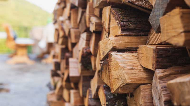 jenis-jenis kayu anti rayap