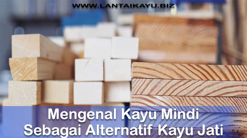 11 Plus Minus Kayu Mindi Beserta Karakteristik & Manfaatnya! Fakta menarik tentang kayu mindi beserta harga, manfaat dan plus minusnya