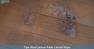 tips atasi jamur pada lantai kayu
