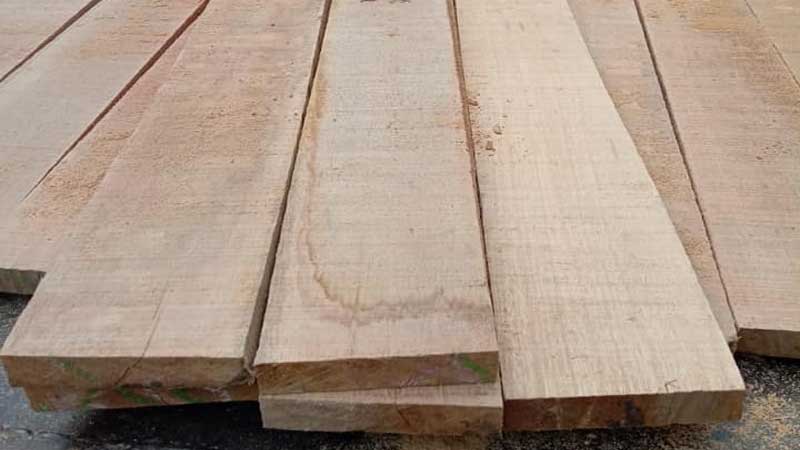 Daftar Jenis Kayu Kelas 3 Terbaik, Apakah Kuat & Tahan Rayap? mengenal kayu borneo beserta kelebihan dan kekurangannya