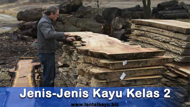 Deretan Jenis Kayu yang Kekuatannya Termasuk Kelas II daftar harga kayu kelas 2 per meter