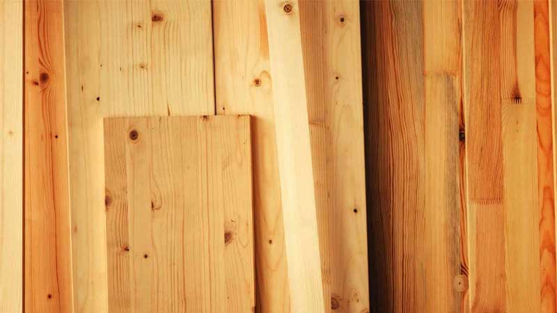 Ingin Tahu Keunggulan dan Kekurangan Kayu Pinus? harga kayu pinus gelondongan