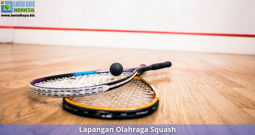 Apa itu Olahraga Squash Dan Jenis Lantai Terbaiknya Penjual lantai kayu Indonesia