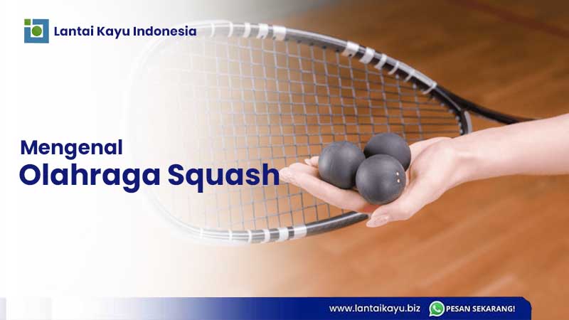 Apa itu Olahraga Squash Dan Jenis Lantai Terbaiknya mengenal olahraga Squash