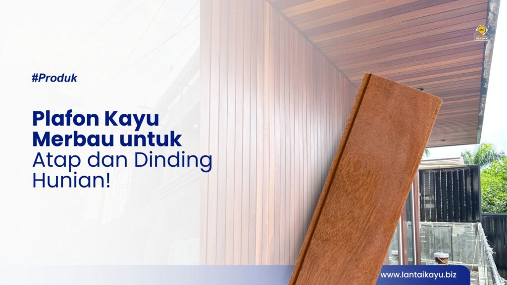 Plafon Kayu Merbau untuk Atap dan Dinding Hunian! Plafon Kayu Merbau