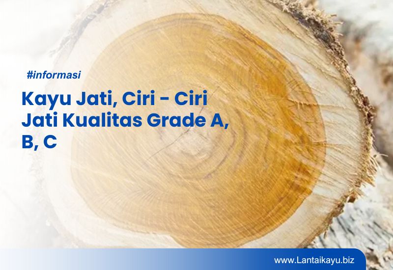 Kayu Jati: Jenis, Ciri-ciri, dan Klasifikasi Grade A, B, C Kayu Jati
