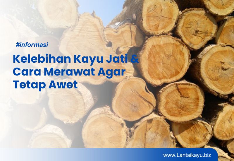 Kelebihan Kayu Jati & Cara Merawat Agar Tetap Awet Kelebihan Kayu Jati & Cara Merawat Agar Tetap Awet