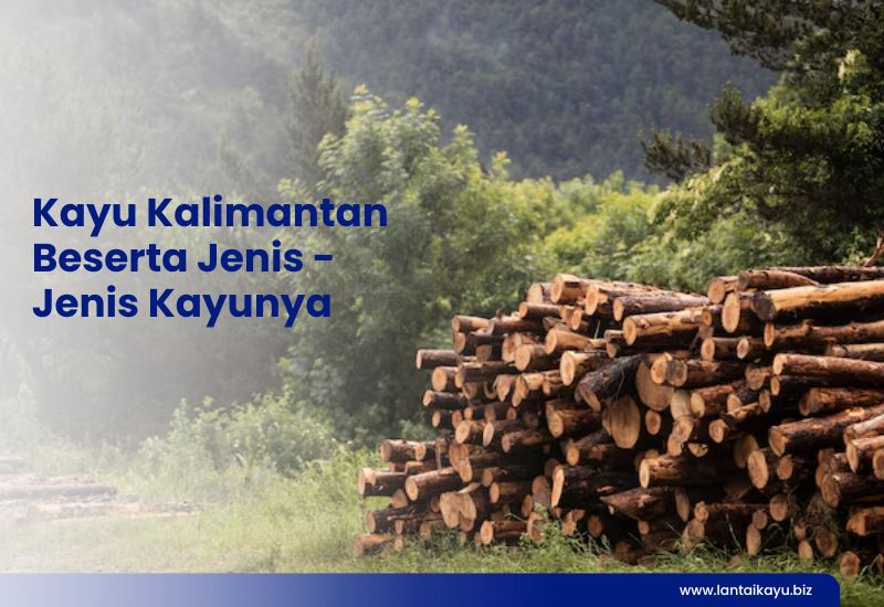 Kayu Kalimantan Beserta Jenis - Jenis Kayunya Penjual lantai kayu Indonesia