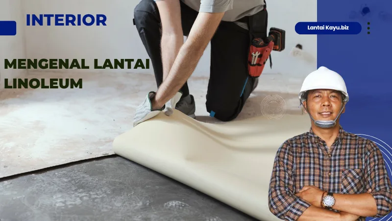 Lantai Linoleum: Ciri, Jenis, Kelebihan & Bedanya Dengan Vinyl kisaran harga lantai linoleum per meter/box di Indonesia